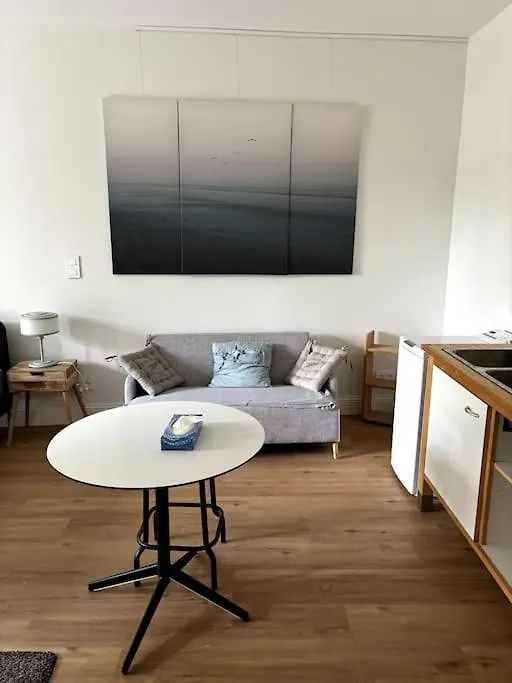 Studio Terrasse Villa Odette Toulouse Apartment